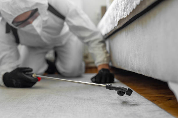 Professional Bed Bug Control technician working in Millville, UT